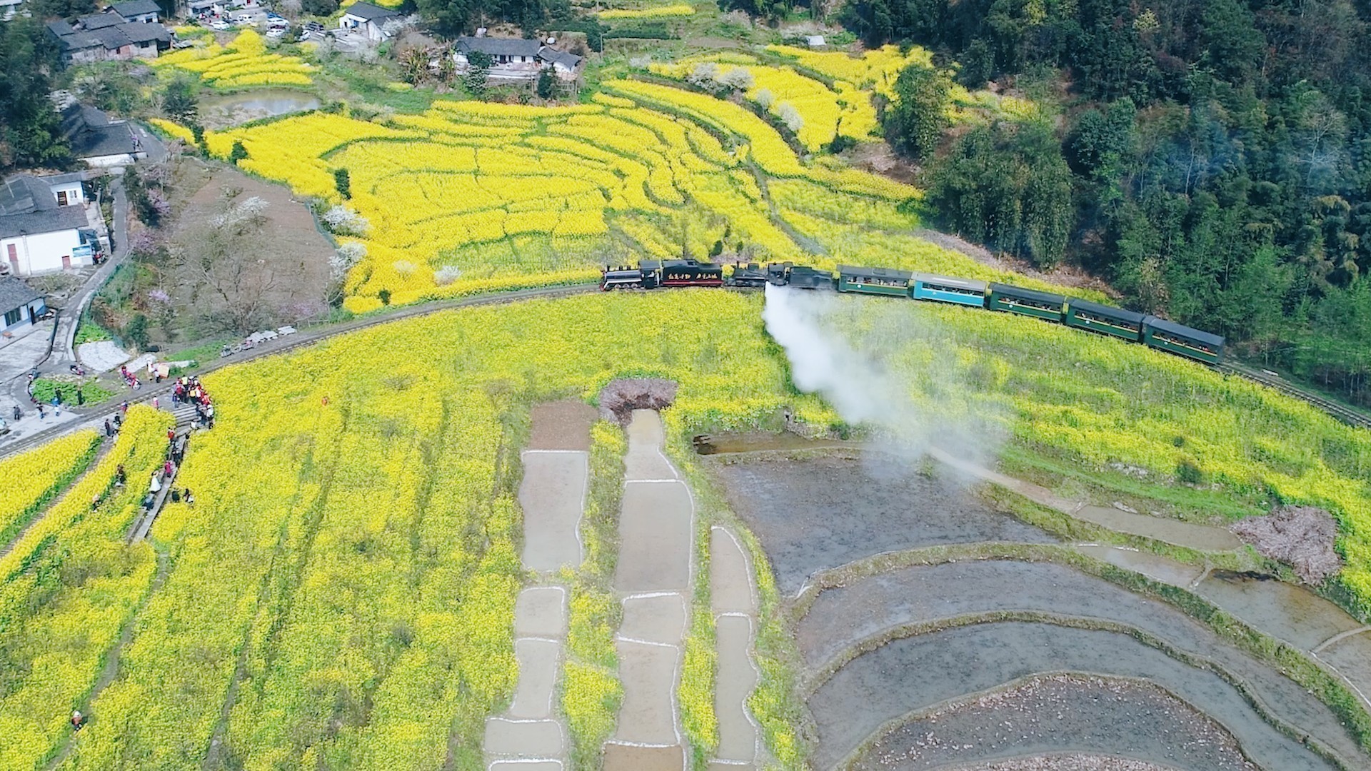 嘉阳煤矿：穿越油菜花海，邂逅智能未来