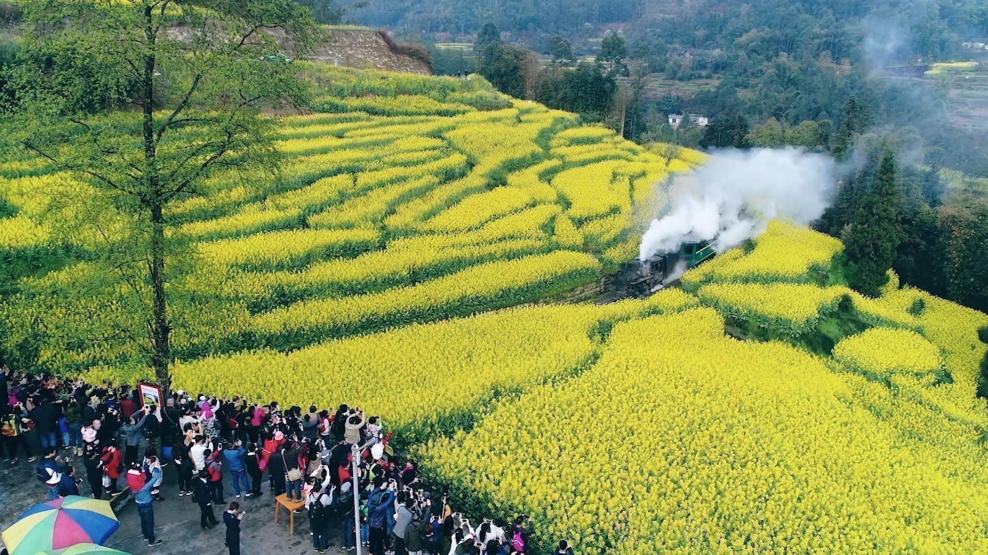 中兴通讯官微：穿越油菜花海，遇见嘉阳智能矿山的未来