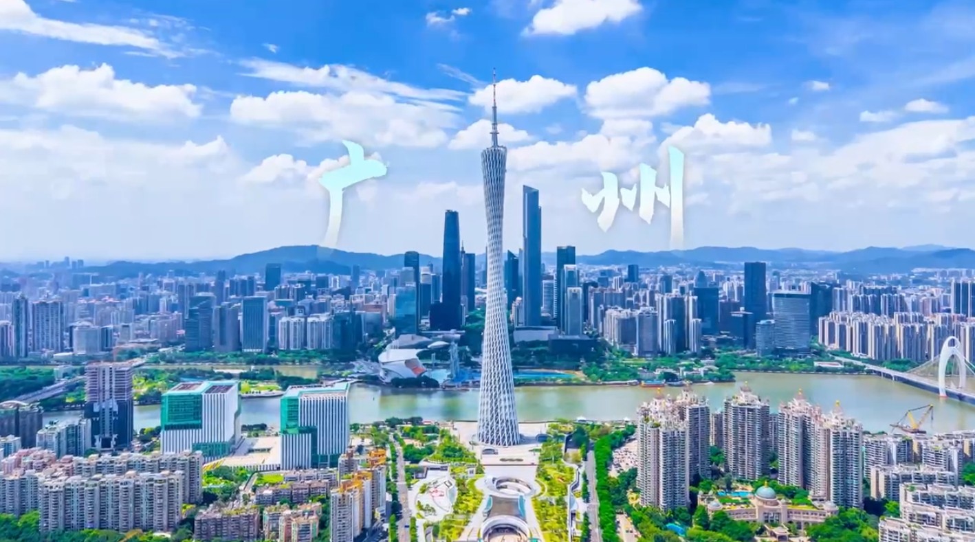 广东高阶自智网络视频