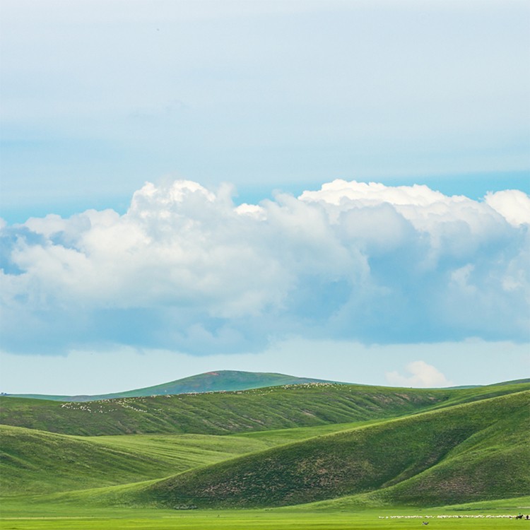 Green Development for Climate Change Response