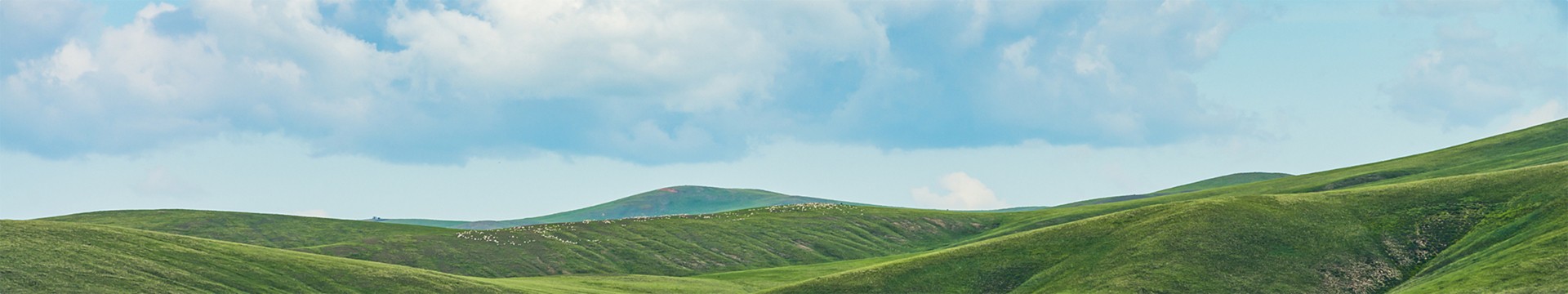 Green Development for Climate Change Response