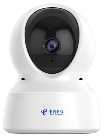 中国　十二属古墨 ZXHN K540