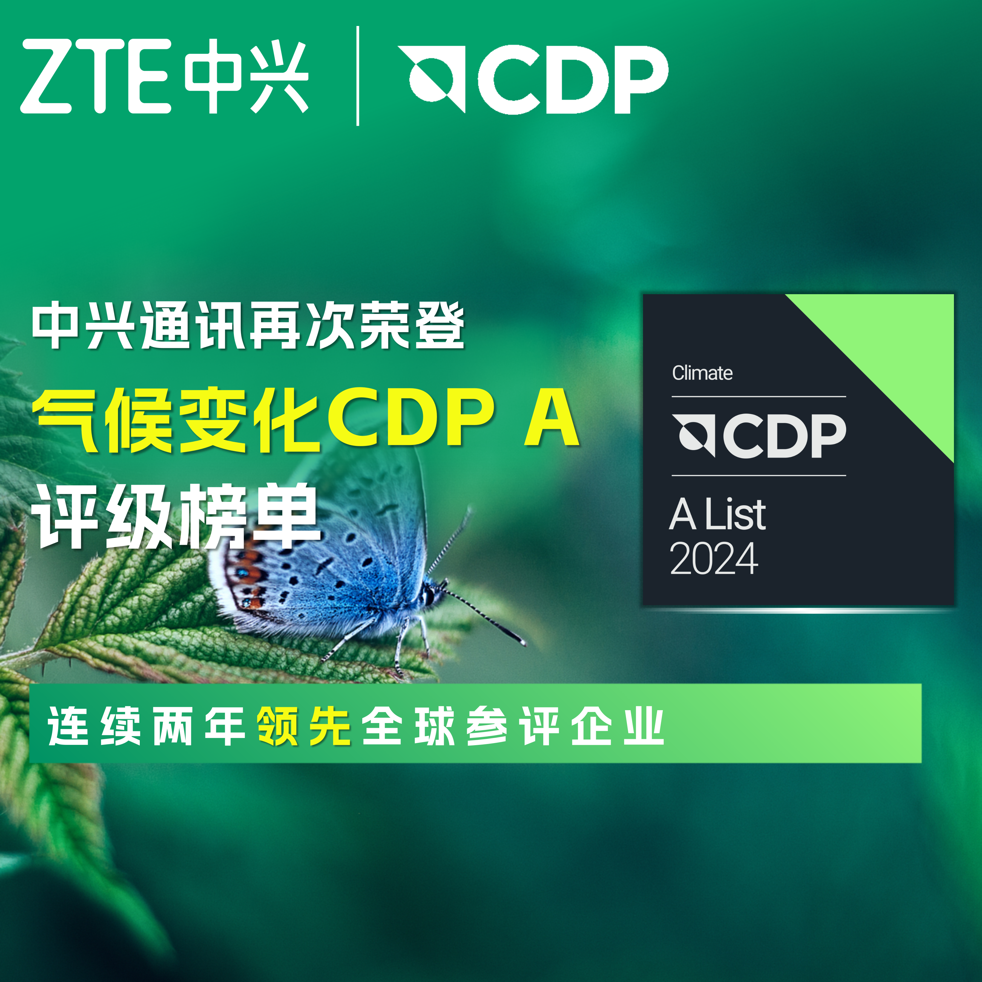 绿色低碳-以科技创新，铺设数字经济林荫路|中兴通讯